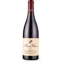 Schlatter Maltesergarten Spätburgunder