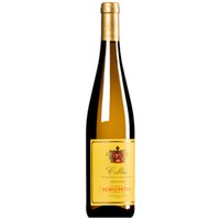 Friulano Collio DOC