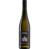 Sauvignon blanc trocken - Weingut Michael Triebel