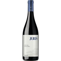 Pinot noir Ried Hochreit trocken - Weingut Juris