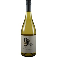 Weißburgunder Russbach BIO - Weingut Baier