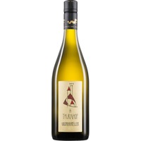 Goldmuskateller - Thurnhof