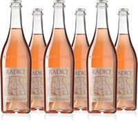 Radice Lambrusco di Sorbara Frizzante Secco DOC