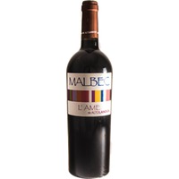 L'Ame Manchuela DO trocken Bio - Altolandon