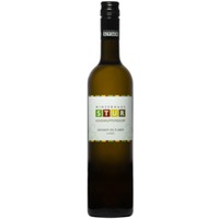 GRÜNER VELTLINER Classic BIO - Winzerhaus Stur