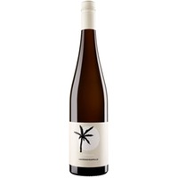 Sauvignon Blanc Laurenzikapelle""