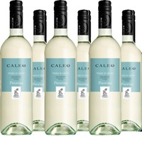 Pecorino Caleo Terre di Chieti IGT