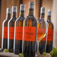 Verdejo Belondrade y Lurton Bio
