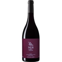 Nus del Terrer Negre Tarragona DO trocken - Vinyes del Terrer