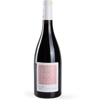 Limniona - Oenops Wines, trockener griechischer Rotwein
