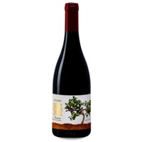 Recanati Petit Syrah Reserva