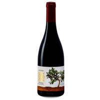 Recanati Petit Syrah Reserva