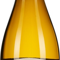 Sauvignon Blanc Fosilni Breg