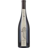 Weszeli Grüner Veltliner Ried Schenkenbichl Erste Lage Kamptal