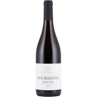 Domaine Vincent Cocherel Bourgogne Pinot Noir