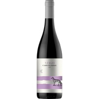 Virgo Campania Rosso, Campania Rosso IGP, Kampanien, 2024, Rotwein