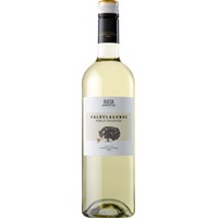 Valdelagunde Verdejo Rueda DO trocken - Bodegas Pedro Escudero