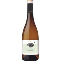 Valdelagunde Cuvée Especial Castilla y León V.T. trocken - Bodegas Pedro Escudero