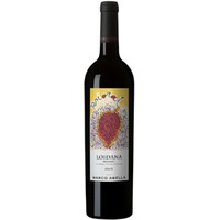 Loidana Magnum Priorat DOCa trocken 1,5 L - Marco Abella
