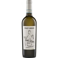 Pinot Grigio Venezia DOC - Terra Musa