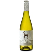 Shaya Verdejo