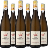 Stift Göttweig Ried Gottschelle Grüner Veltliner Kremstal DAC Reserve, Erste Lage 1ÖTW