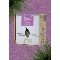 Griechischer Thymian - BIO
