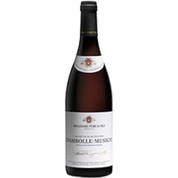 Bouchard Père & Fils : Chambolle-Musigny Village