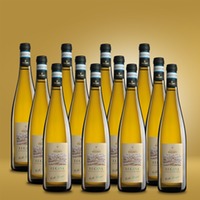 Visconti Lugana Collo Lungo 12er Vorratspaket