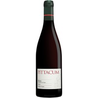 Pittacum Spanien Rotwein Trocken