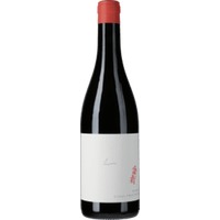 Blaufränkisch Bonsai