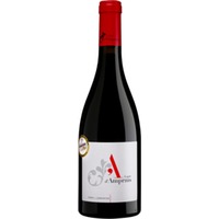 Tinto Syrah Garnacha Bajo Aragón VT trocken Bio - Amprius Lagar