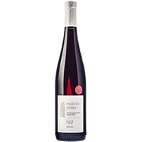 Mélanie Pfister : Pinot Noir Hüt