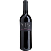 Cabernet Sauvignon Friuli DOC - Villa Vitas