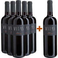 5+1 Merlot Friuli DOC - Villa Vitas