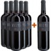 5+1 Merlot Friuli DOC - Villa Vitas 