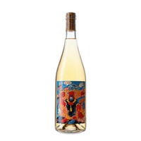 Òrbita Venus Macabeu