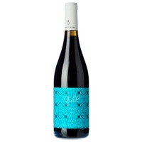 Verónica Ortega Quite