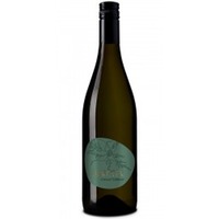 Grüner Veltliner biodynamisch