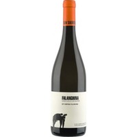 Falanghina - Azienda Agricola San Salvatore