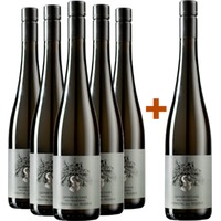 5+1 Paket Grüner Veltliner Reserve trocken - Andrea Schenter
