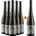 5+1 Paket Grüner Veltliner Reserve trocken - Andrea Schenter 
