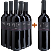 5+1 Cabernet Sauvignon Friuli DOC - Villa Vitas