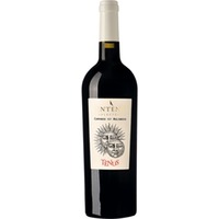 "Rosso Tau" Irpinia Aglianico DOC trocken - Sella delle Spine