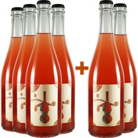 4+2 Paket Universi Paralleli - Viv Winery