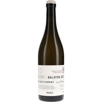 Hidden Treasures Nr.3 Balaton, Villa Tolnay Moric