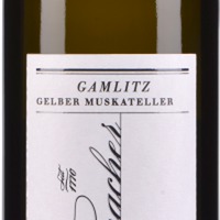 Gelber Muskateller Gamlitz