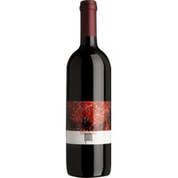 Shiraz/Syrah Ried Fennisberg - Weingut Gratl