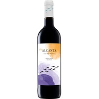 Viña Alcanta Tinto, Alicante DO, Valencia, 2024, Rotwein