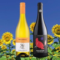 Sommerweine rot/weiss (2 x 6 Fl.) - frei Haus